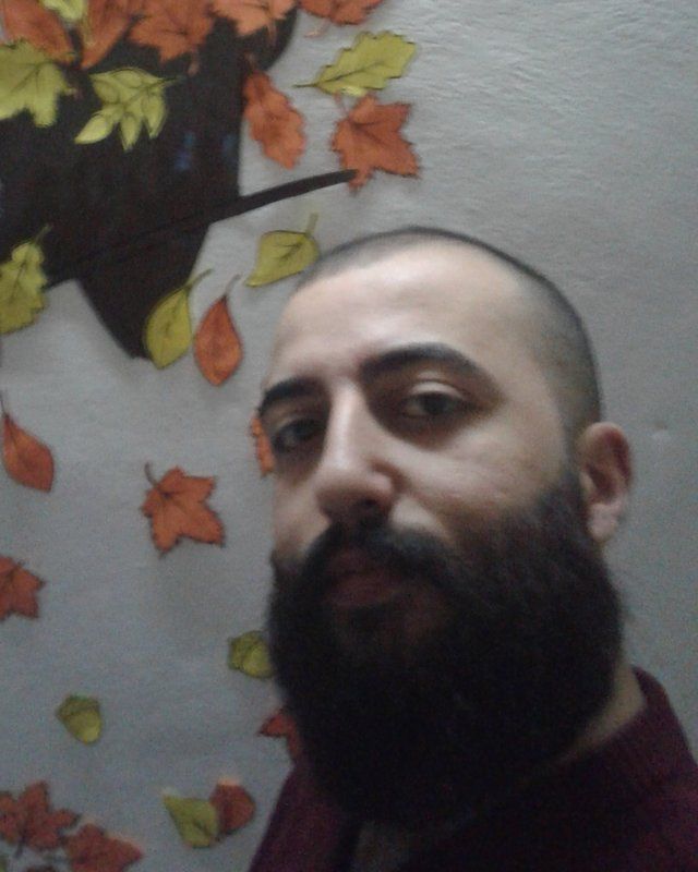 solomon_245
